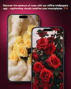 Rose Wallpaper Offline स्क्रीनशॉट 2