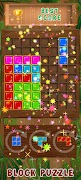 Block Puzzle اسکرین شاٹ 5