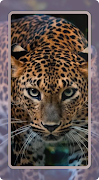 Leopard Wallpaper ảnh chụp màn hình 6