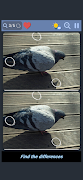 Differences - Find them imagem de tela 3