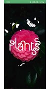 Plantsss 截圖 1
