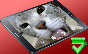 Kitty Licks Screen Screenshot 7