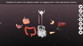3D Human Digestive System ภาพหน้าจอ 4