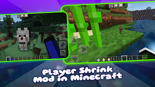 Player Shrink Mod in Minecraft پوسٹر