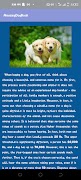AmazingDogBook screenshot 3