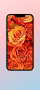 Orange Rose WalL スクリーンショット 1