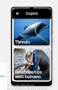 Dolphin 截圖 3