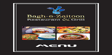 Bagh E Zaitoon imagem de tela 3