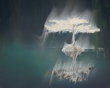 Ring Lord: Shadow ghost Camera 海报