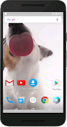 Dog Licks Screen Wallpaper ảnh chụp màn hình 6