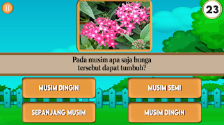 Smart Flowers 截圖 1