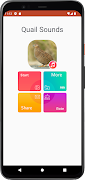 Quail sounds syot layar 1