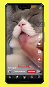 برنامه‌نما FreeTube عکس از صفحه