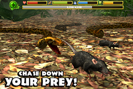 برنامه‌نما Snake Simulator عکس از صفحه