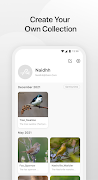 Bird V imagem de tela 3