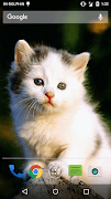 2 Schermata Magic Touch Cat Live WallPaper