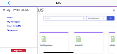 ibi™ WebFOCUS® تصوير الشاشة 5