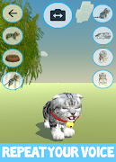 برنامه‌نما Talking Cat عکس از صفحه