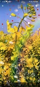 Farming Wallpaper ảnh chụp màn hình 4