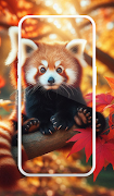 Panda Wallpaper : Cute Panda 截圖 4