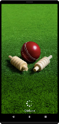 CricScore 포스터