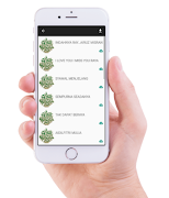 Hari Raya Aidilfitri Ekran Görüntüsü 2