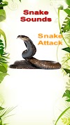 Snake Sounds Effects Simulator скриншот 6
