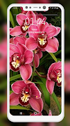 Orchid Wallpaper screenshot 4