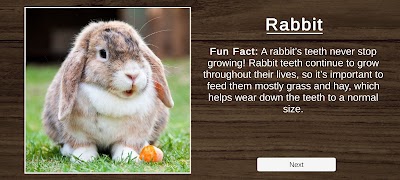 Animal Jigsaw Puzzle Fun 截图 7