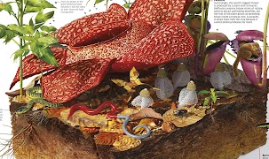 Encyclopedia Science! Ekran Görüntüsü 5