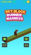 Skyblock Runner Madness screenshot 3