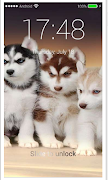Husky Puppy HD PIN Lock Screen screenshot 6