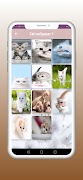 Cats wallpapers screenshot 1