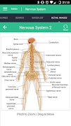 Nervous System Reference Guide syot layar 1