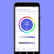 What Color? Color Naming Tool โปสเตอร์