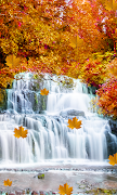 Fall Live Wallpaper تصوير الشاشة 2
