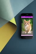 Cropho Photo Editor تصوير الشاشة 1