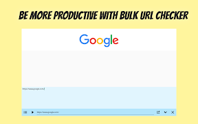 Spider Web - Bulk URL Checker скриншот 4