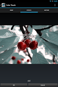 Color Touch Effects screenshot 5