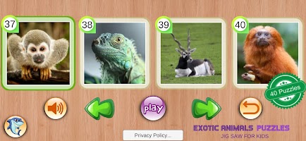 Exotic Animals Puzzles Toddler screenshot 4