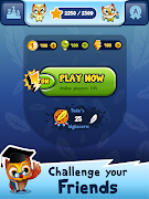 Brainster Quiz screenshot 7