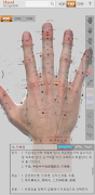 Hand Acupoint screenshot 5