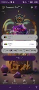 Teamwork VPN Pro syot layar 5