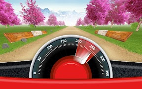 CRAZY DRIVER الملصق