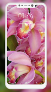 Orchid Wallpaper screenshot 5