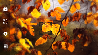 Bluristic screenshot 2