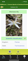 Southern Florida Wildflowers screenshot 5