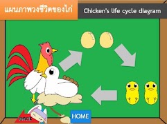 life cycle screenshot 3