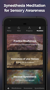 Sensorium - Synesthesia Medita poster