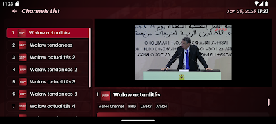 WALAW TV screenshot 2